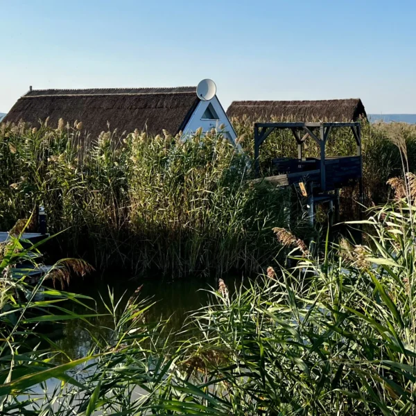 Seehütte Ferienhaus