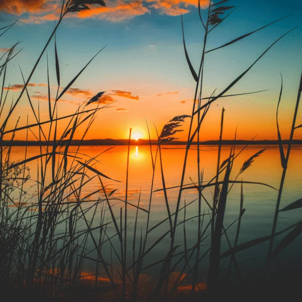 Urlaub am Neusiedlersee mit Sonnenuntergängen